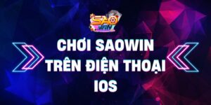 Saowin 0 20